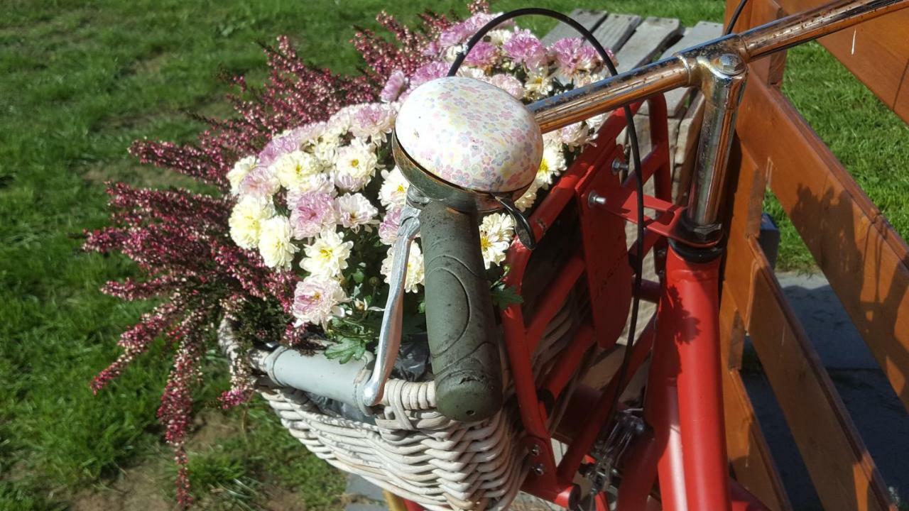 Oberlangen Emsgoldヴィラ エクステリア 写真